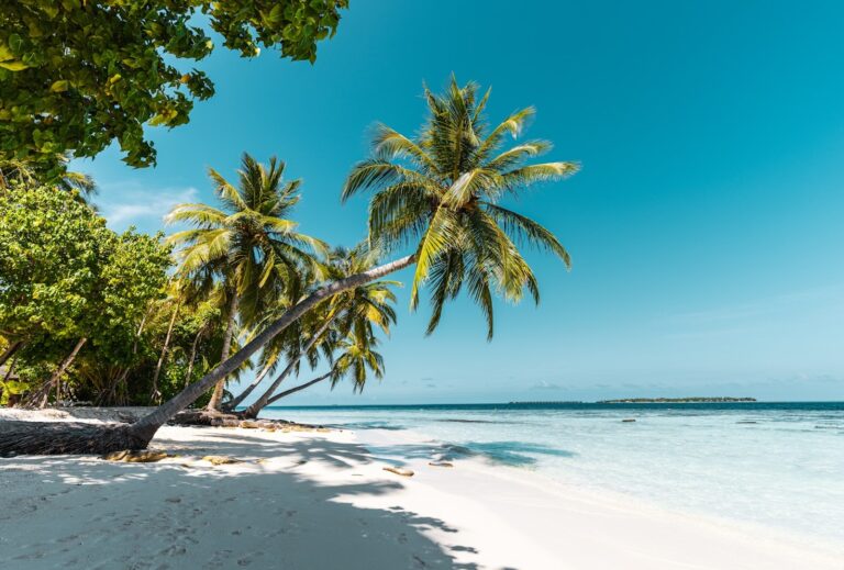 How to Plan the Ultimate Beach Getaway