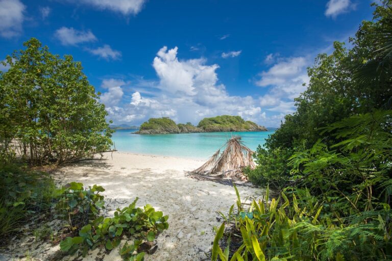 Affordable Luxury: Planning a Budget-Friendly Trip