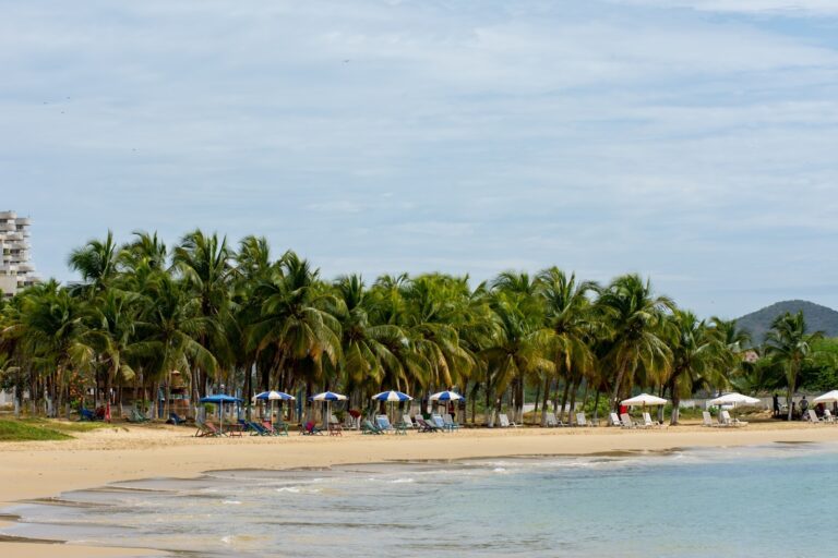 Pro Tips for Hassle-Free Travel Planning